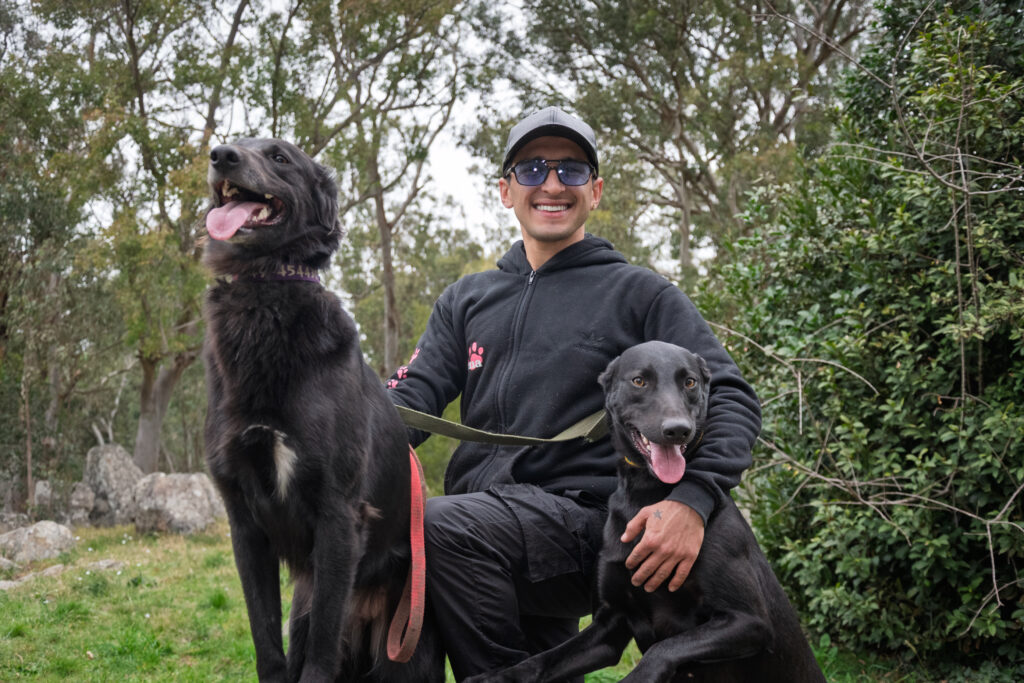 La chica de los perros