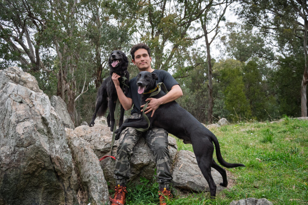 La chica de los perros